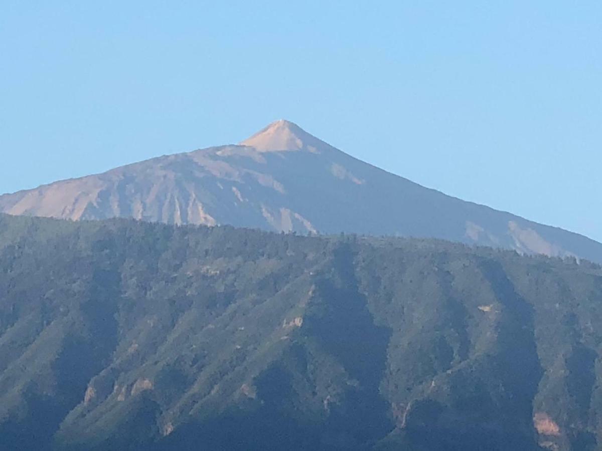 Centrico Y Coqueto Apartamento Puerto de la Cruz  Bagian luar foto